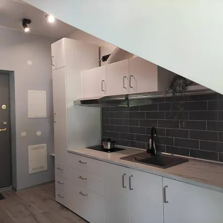 Cosy In Center * Vilnius