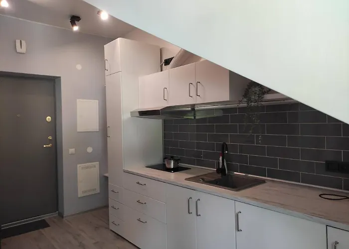 Cosy In Center * Vilnius